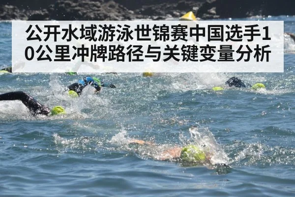 公开水域游泳世锦赛中国选手10公里冲牌路径与关键变量分析 - kaiyun